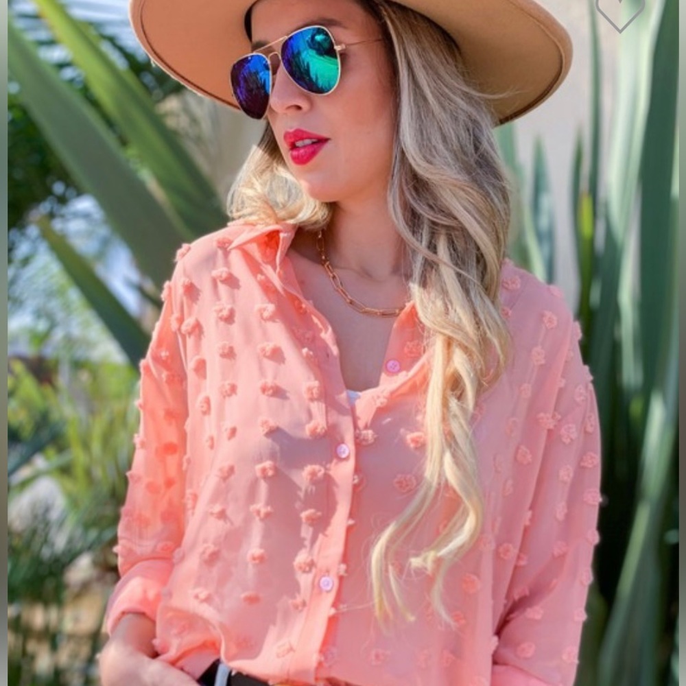 Amoli Coral Sheer Top (NWT)